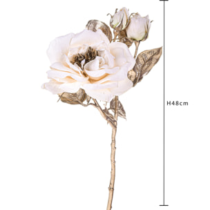 Rosa inglese - Pezzi 12 - 14xH48x12cm - Bianchi Dino SpA