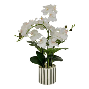 Fleur Artificielle Asia Orchidée H81 cm Pot en Grès Vert