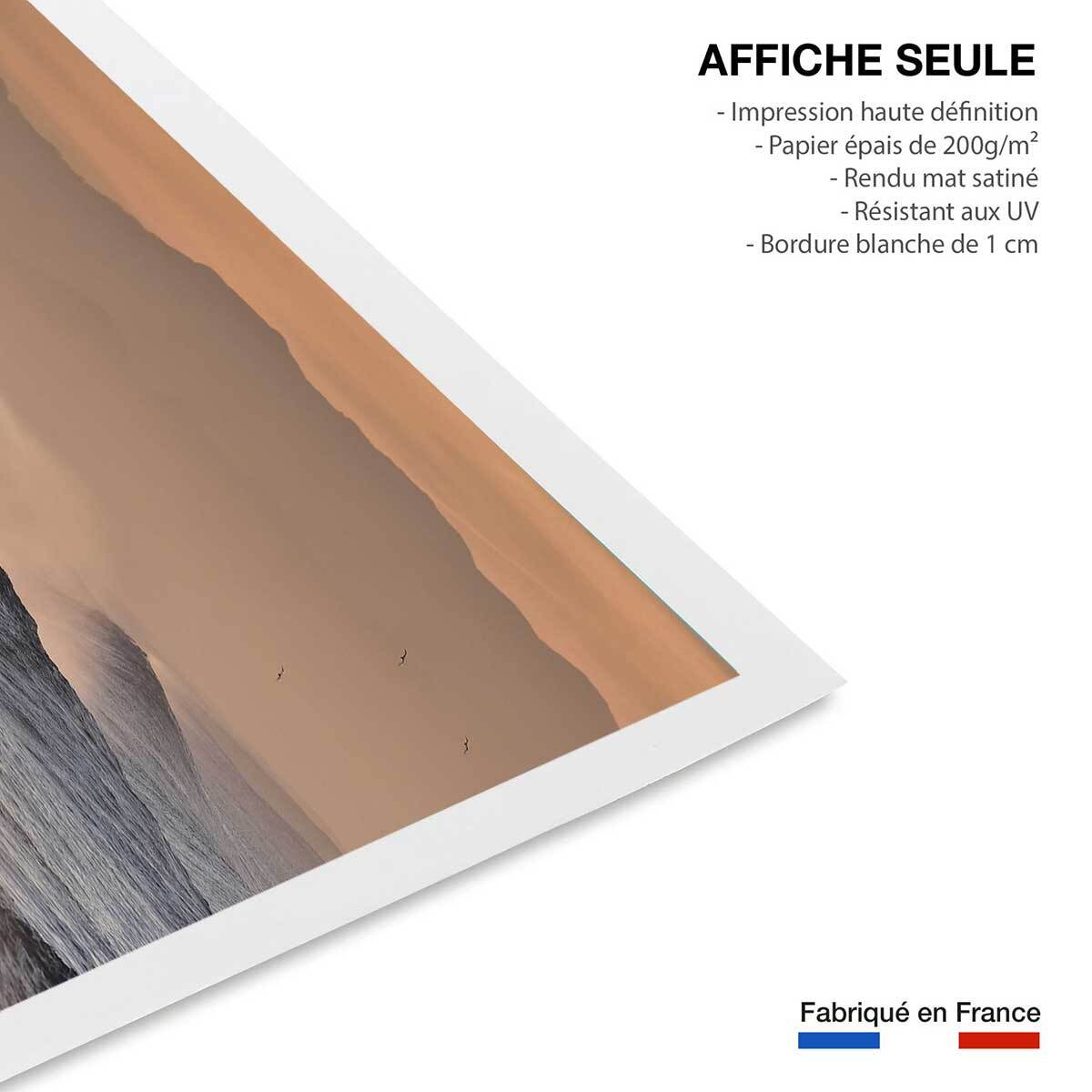 Affiche photo plage hossegor mouettes au pic Affiche seule