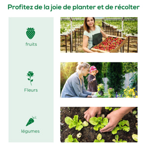 Mini serre de jardin serre à tomates dim. 300L x 80l x 45H cm acier PE 5 fenêtres zippées enroulables vert