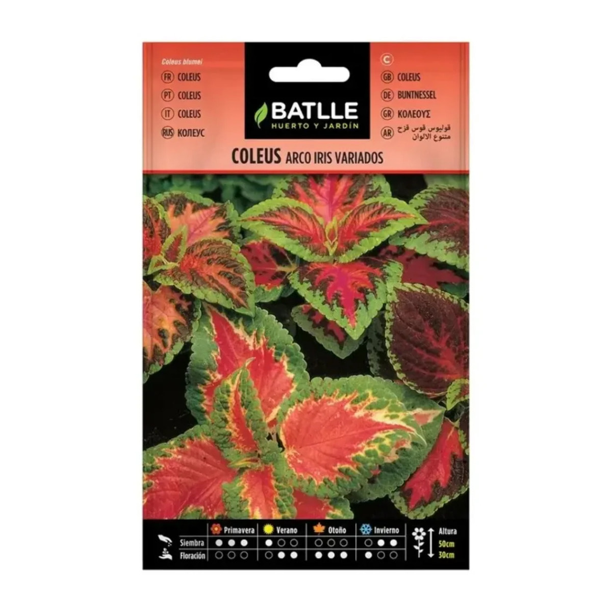 Semillas de Coleus arco iris variado Batlle