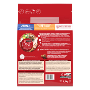 PURINA ONE CHIEN MEDIUM MAXI Poulet 2,5kg - Lot de 4