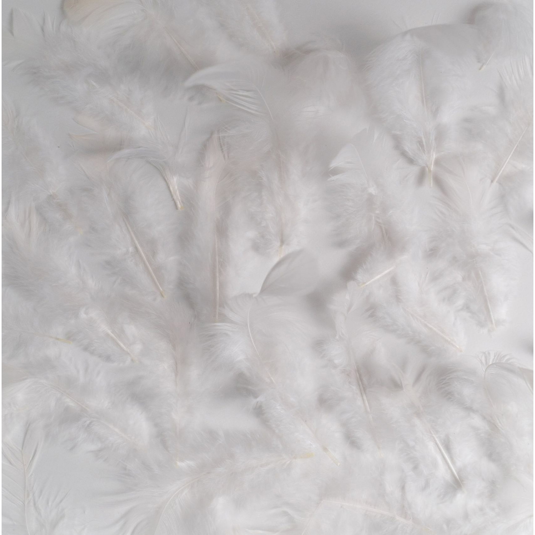 Boa ou guirlande en plumes - Blanc