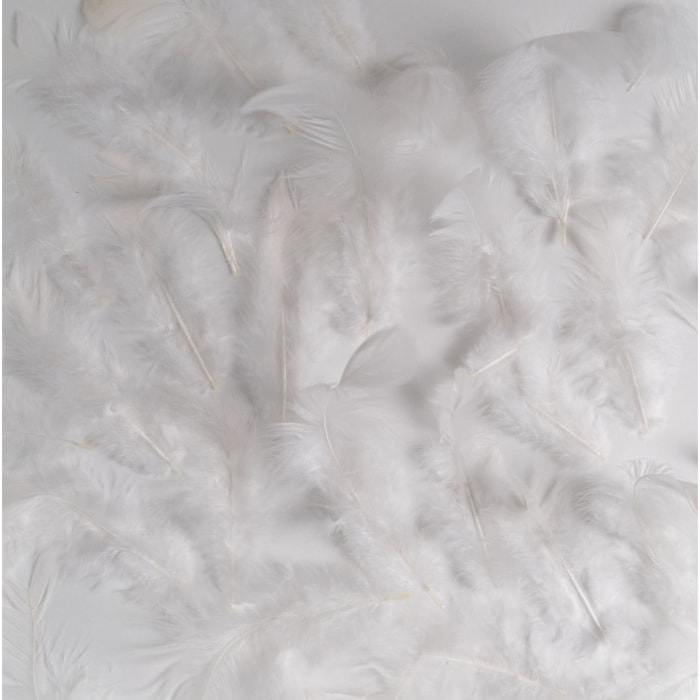Boa ou guirlande en plumes - Blanc