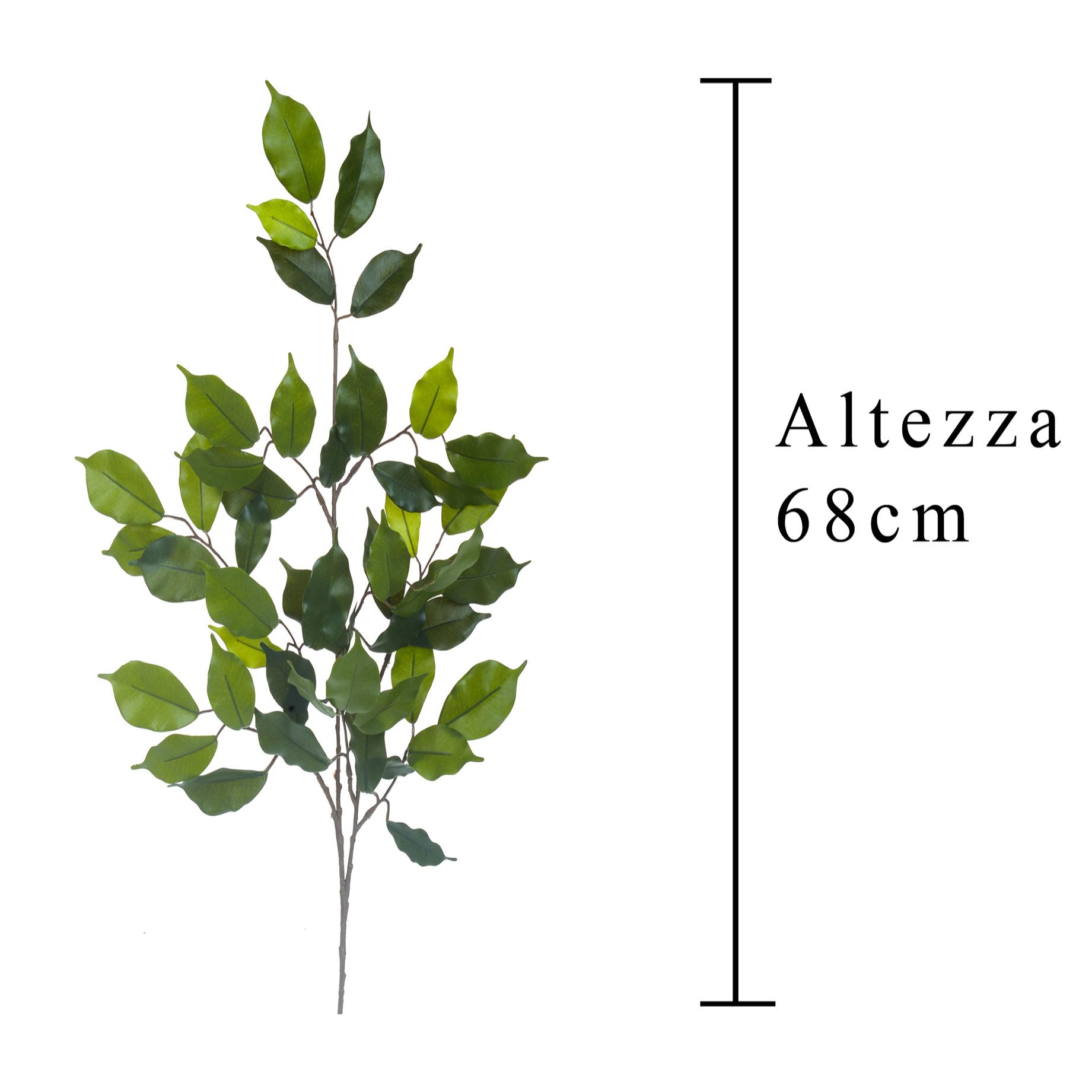 Ramo Di Ficus Con 42 Foglie. Altezza 60 Cm - Pezzi 12 - 29X60X3cm - Colore: Verde - Bianchi Dino - Piante Artificiali