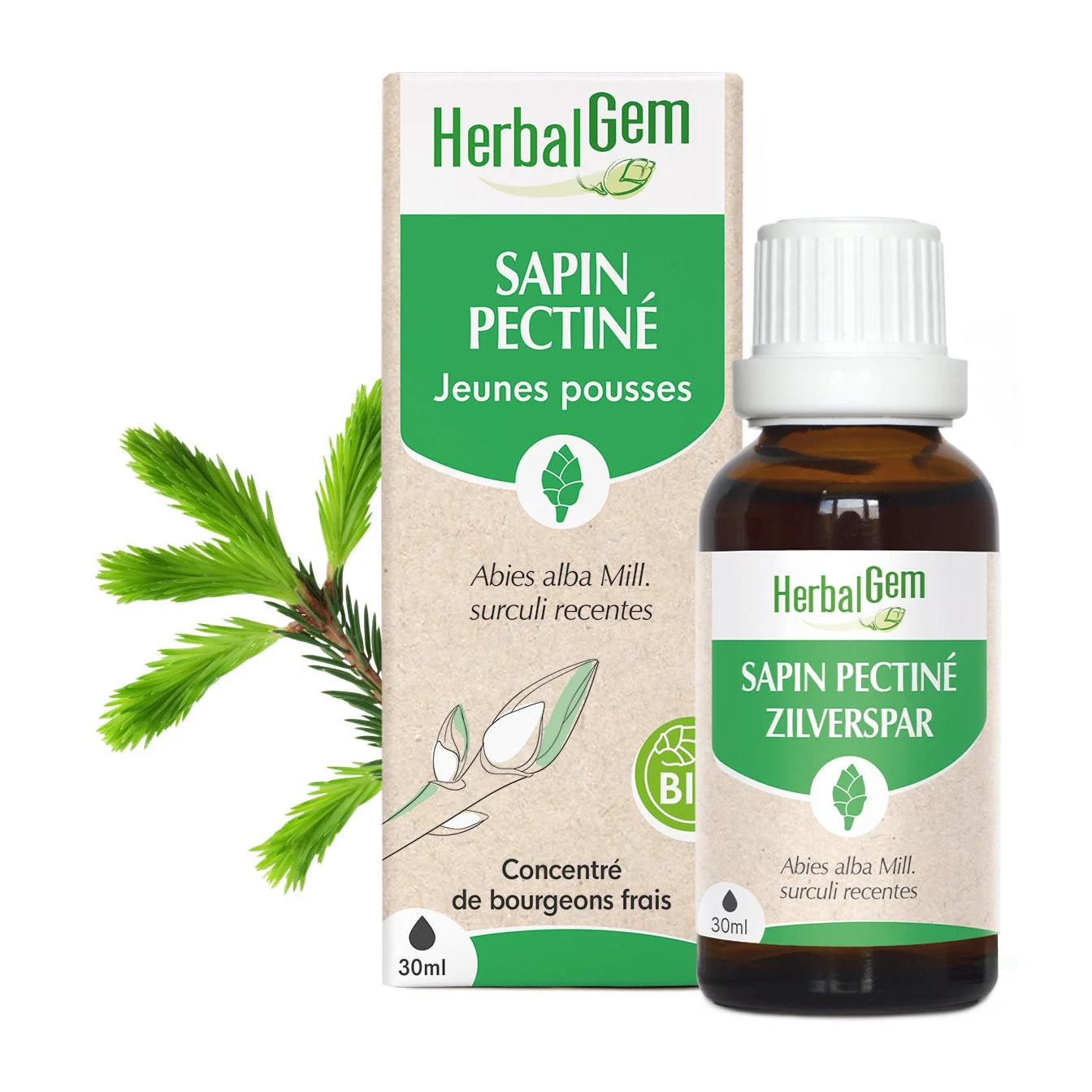 Herbalgem- Bourgeon de Sapin pectiné - Bio - 30 ml