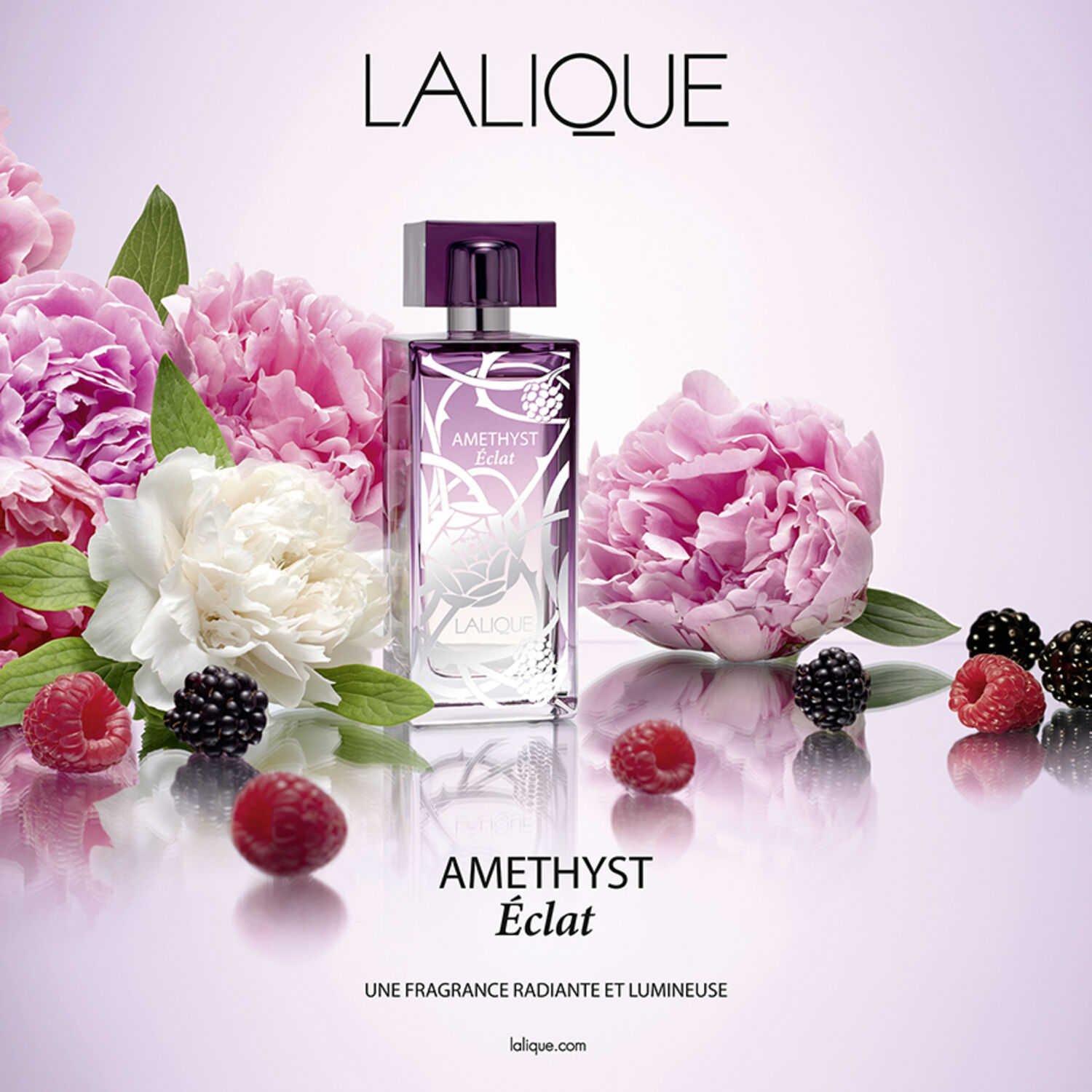 Amethyst Eclat  - Eau de Parfum 100 ml
