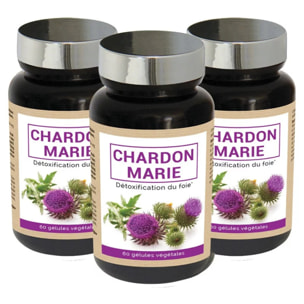 NUTRIEXPERT – Chardon Marie – Detox du Foie– Soutient le bon fonctionnement hépatique et du foie – Favorise le drainage - 100% extraits Chardon Marie naturel – Convient aux végans - Lot de 3 produits