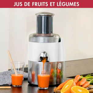 Extracteur de jus MAGIMIX 18085F Juice Expert 3 Chrome et Blanc