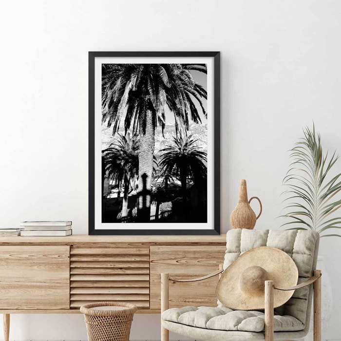 Affiche noir et blanc palmiers monténégro Affiche sous cadre noir