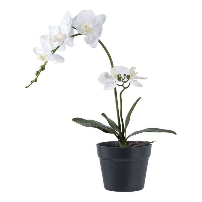 Orchid - Pianta artificiale di orchidea verde e bianca H49 cm