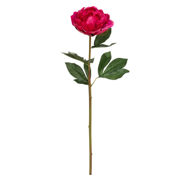 Tige de pivoine artificielle H68cm
