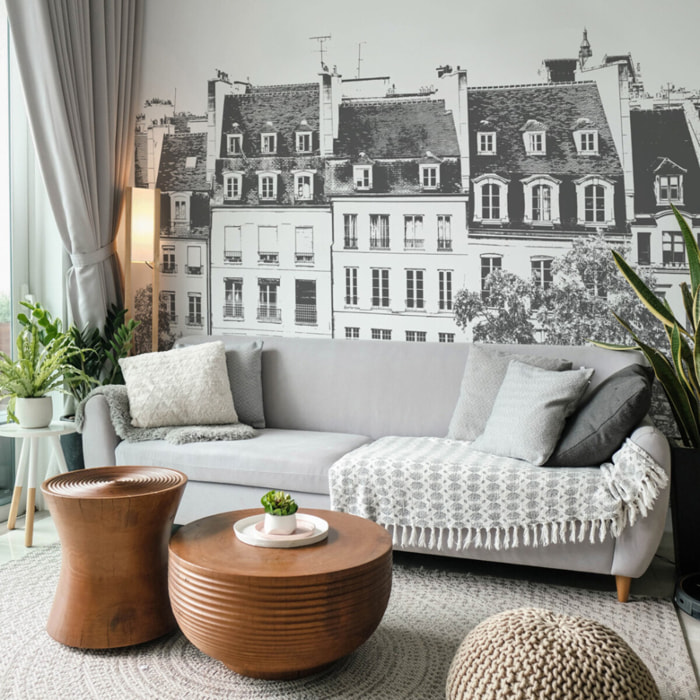 Papier peint panoramique Grands Boulevards -