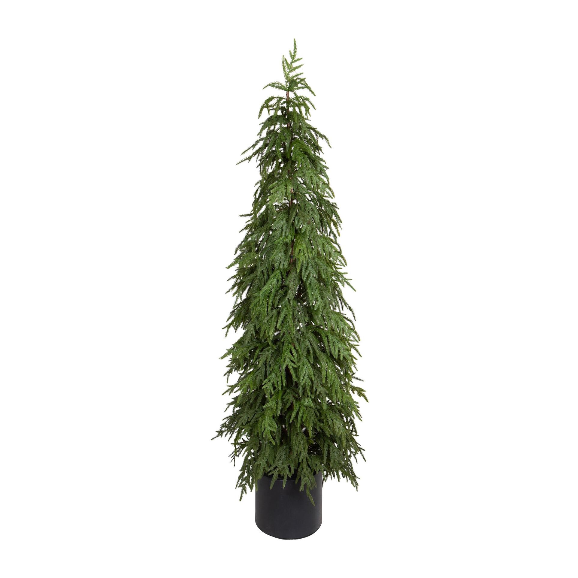 Abete norfolk t.stellato con vaso - Pezzi 1 - VERDE - Bianchi Dino SpA