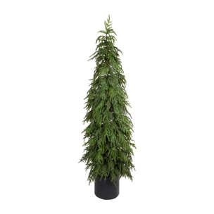 Abete norfolk t.stellato con vaso - Pezzi 1 - VERDE - Bianchi Dino SpA