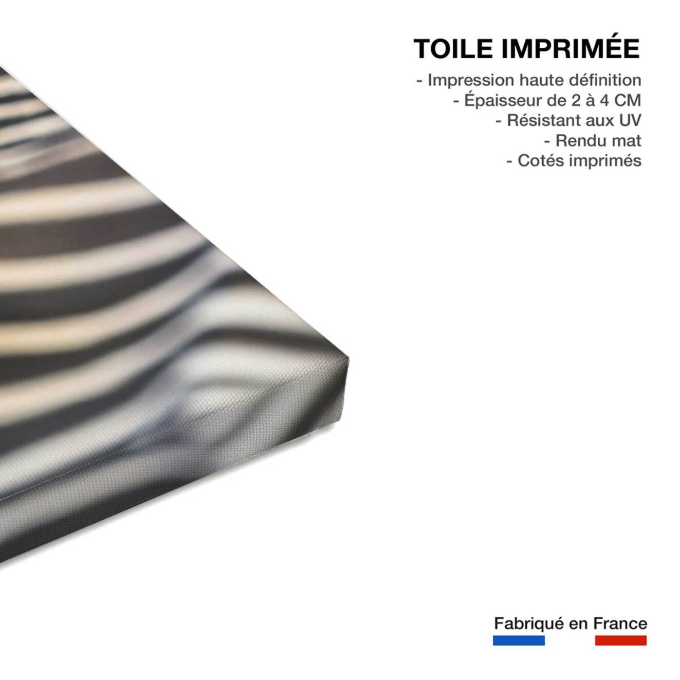 Tableau zèbre Toile imprimée