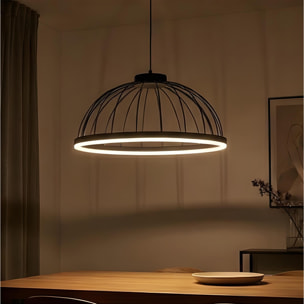 Forlight Colgante Cercle LED 24W Blanco Neutro - 4000K Negro para Interior de Techo en Comedor, Salón, Cocina