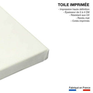 Tableau baleine ballon Toile imprimée