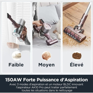 Aspirateur balai EUREKA AK10PRO