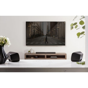 Kit enceinte surround POLK SR2