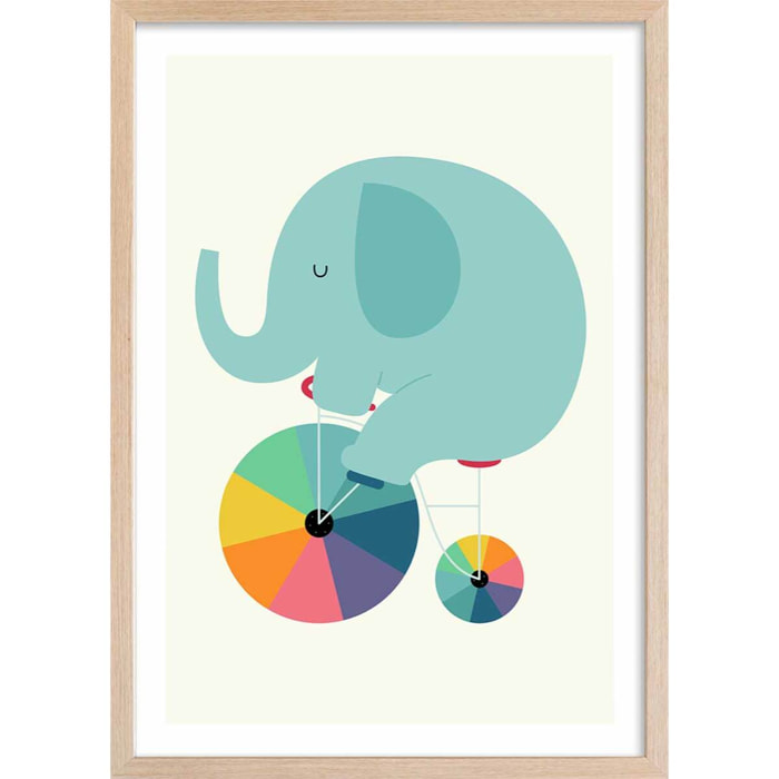 Affiche  elefant circle Affiche + cadre en bois - Chêne