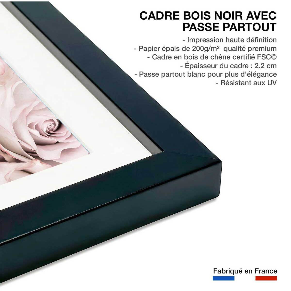 Affiche  rosa alba Affiche + cadre en bois - Noir