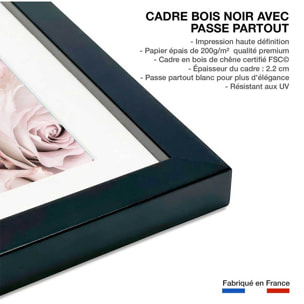 Affiche  rosa alba Affiche + cadre en bois - Noir