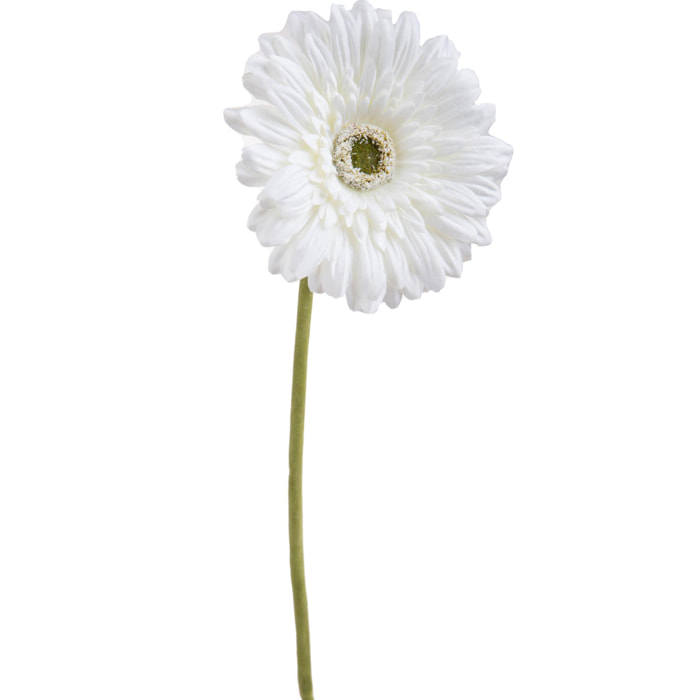 Fiore Di Gerbera Singolo. Altezza 62 Cm - Pezzi 12 - 12X62X12cm - Colore: Bianco - Bianchi Dino - Fiori Artificiali