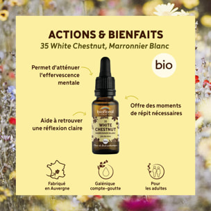 Biofloral - Fleur de Bach n°35 White Chestnut, Marronnier Blanc - Bio Demeter - 20 ml