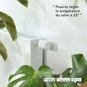 Tête thermostatique connectée TADO Thermostat V3+ Filaire et 2 Tetes termos