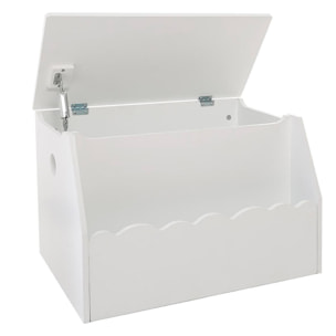 Caja de juguetes y biblioteca infantil