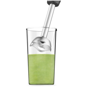 Mixeur MOULINEX DD451810 MIX EASYCHEF