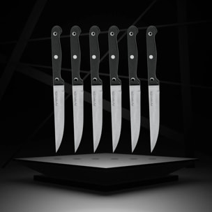 Lot de 6 couteaux à steak Nirosta Mega 21 cm