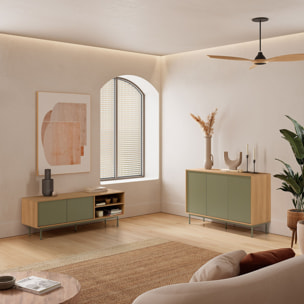 Mueble Tv Cuzco 2 puertas color Roble/Verde