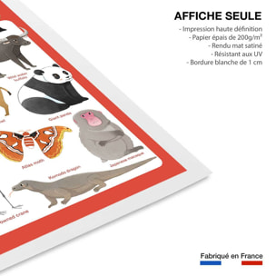 Affiche enfant animaux d' asie  Affiche seule