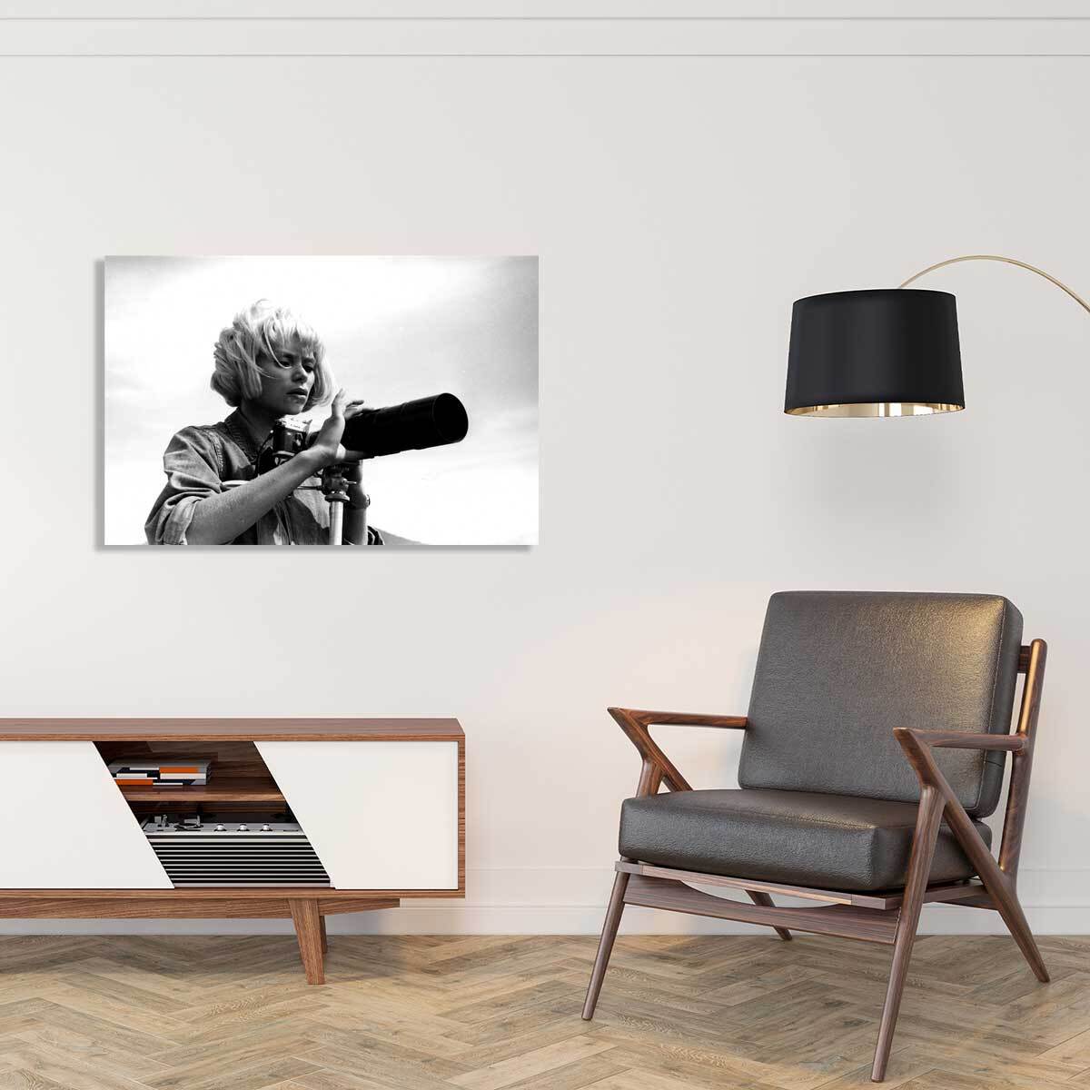 Tableau photo d'actrice de mireille darc en 1967  Tableau plexiglas