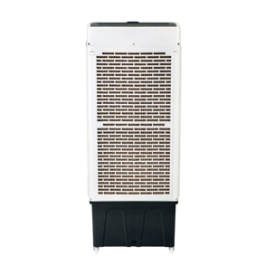 Climatizador evaporativo de gran caudal con ventilador RAFY 220 PURLINE