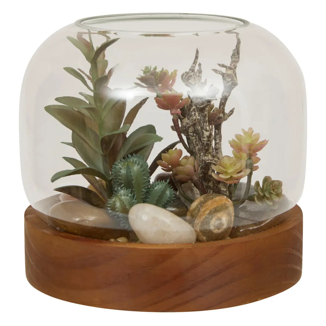 Terrarium Wonj 15,7x14cm
