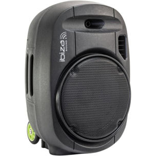 Enceinte sono IBIZA PORT12VHF-MKII