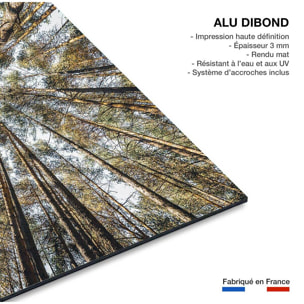 Tableau perspective des cîmes Tableau alu Dibond