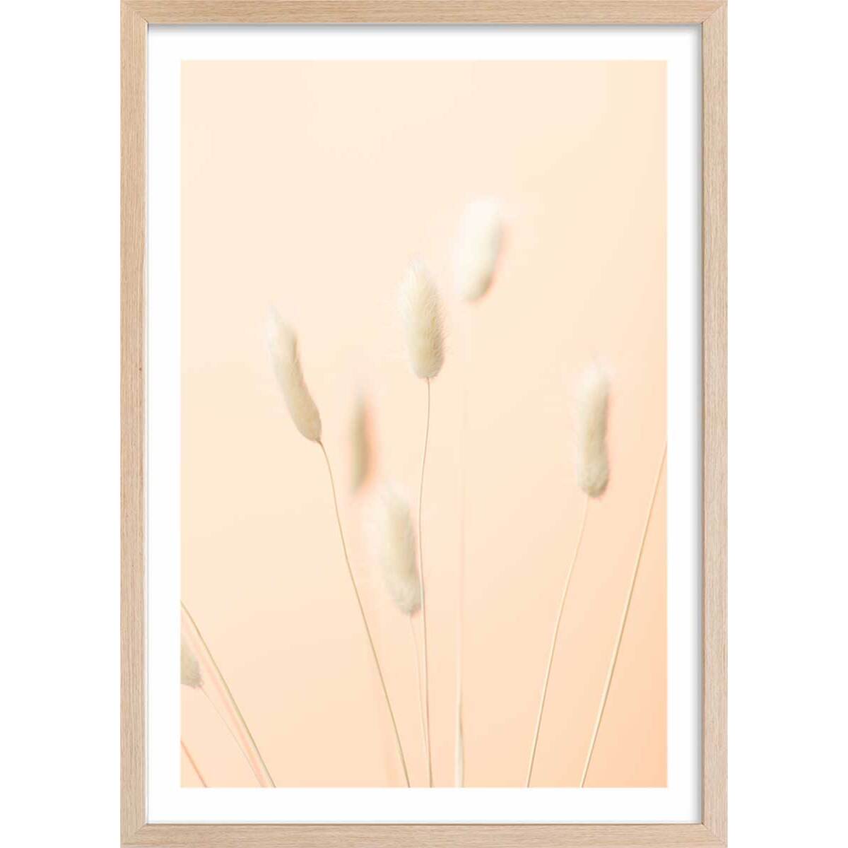 Affiche  scandi pampa Affiche + cadre en bois - Chêne