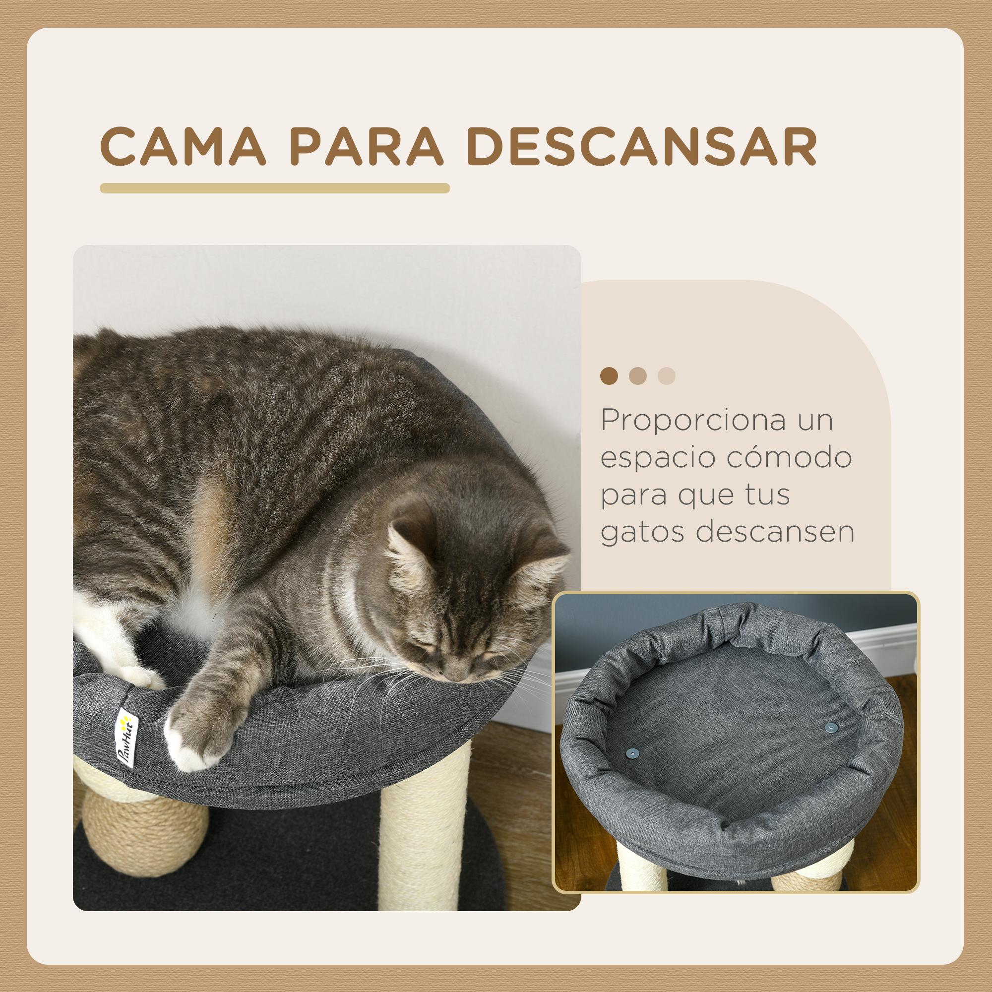 Árbol Rascador para Gatos Pequeño Torre para Gatos Centro de Actividades para Gatitos con Nido 4 Bolas y Poste de Sisal Carga 15 kg Ø40x48 cm Gris y Beige