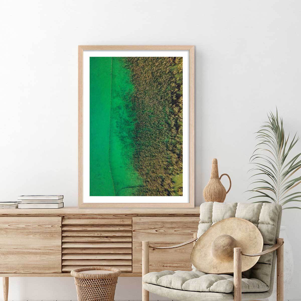 Affiche végétaux et flore aquatique Affiche + cadre en bois - Chêne