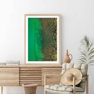 Affiche végétaux et flore aquatique Affiche + cadre en bois - Chêne