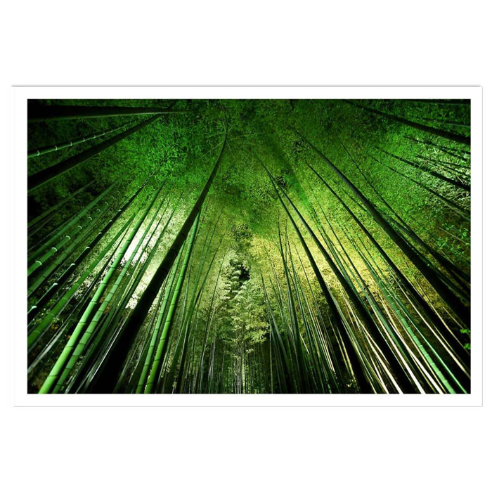 Affiche nature forêt de bambous à kyoto Affiche seule