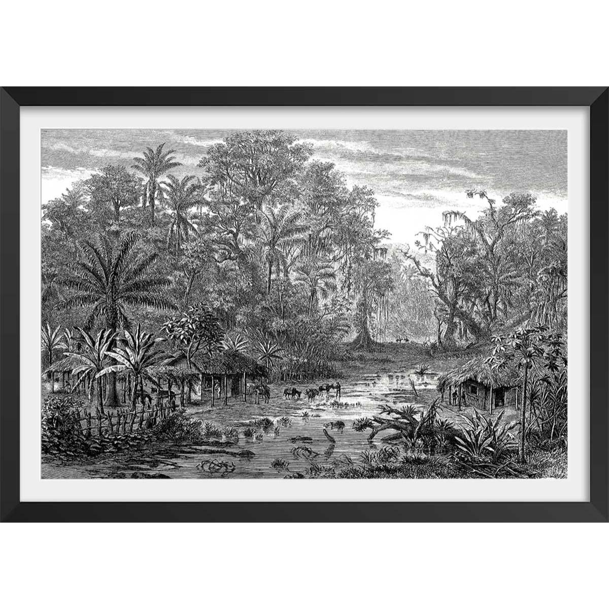 Affiche gravure forêt de mangroves Affiche + cadre en bois - Noir