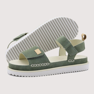 Plataforma Verde - Hikari