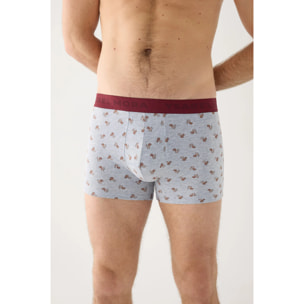 Boxer