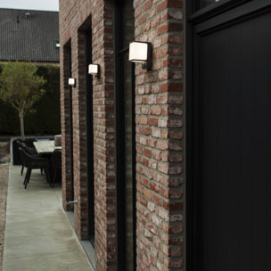 Applique murale secteur DOBLO GREY SENSO