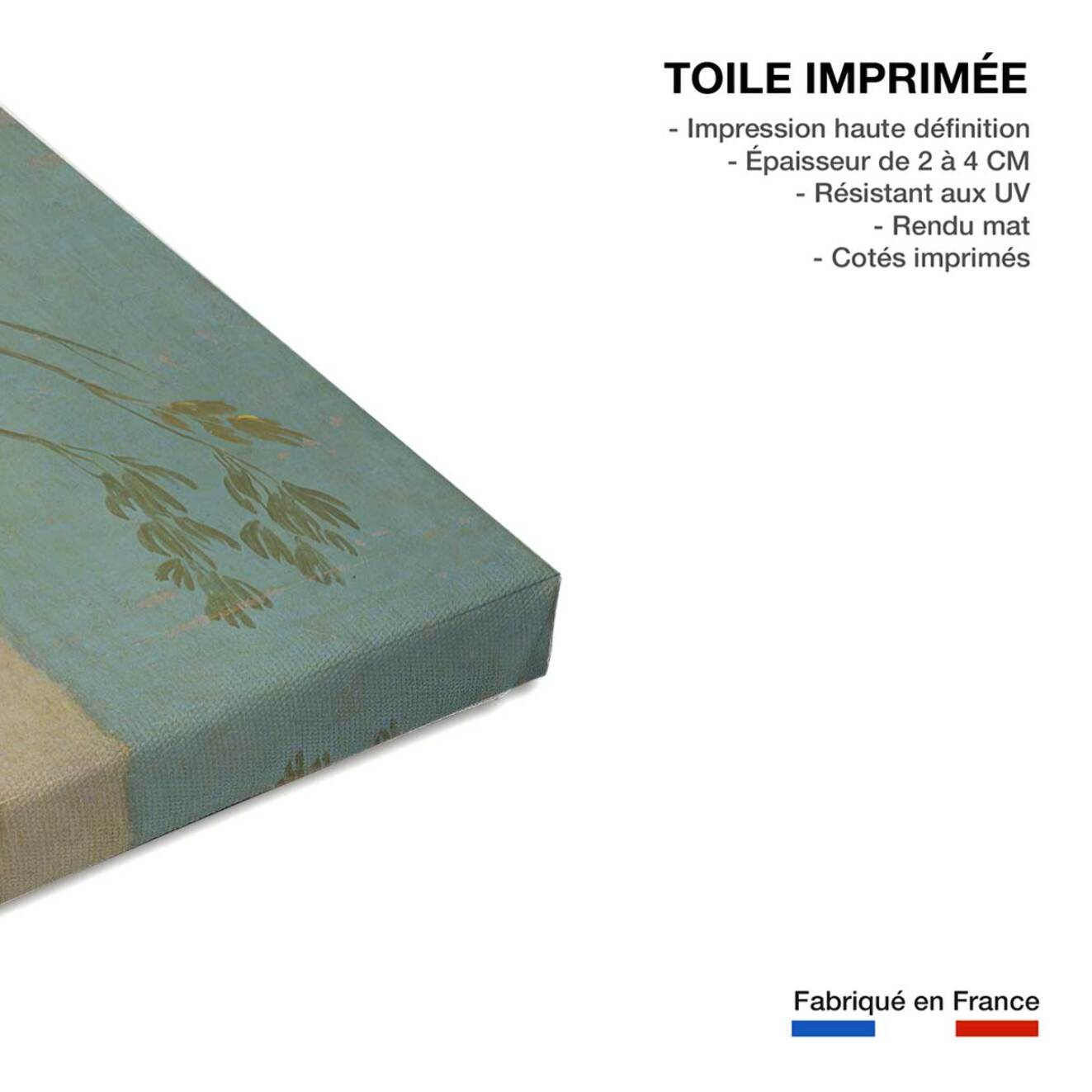 Tableau Le Parasol de Francisco José de Goya Toile imprimée